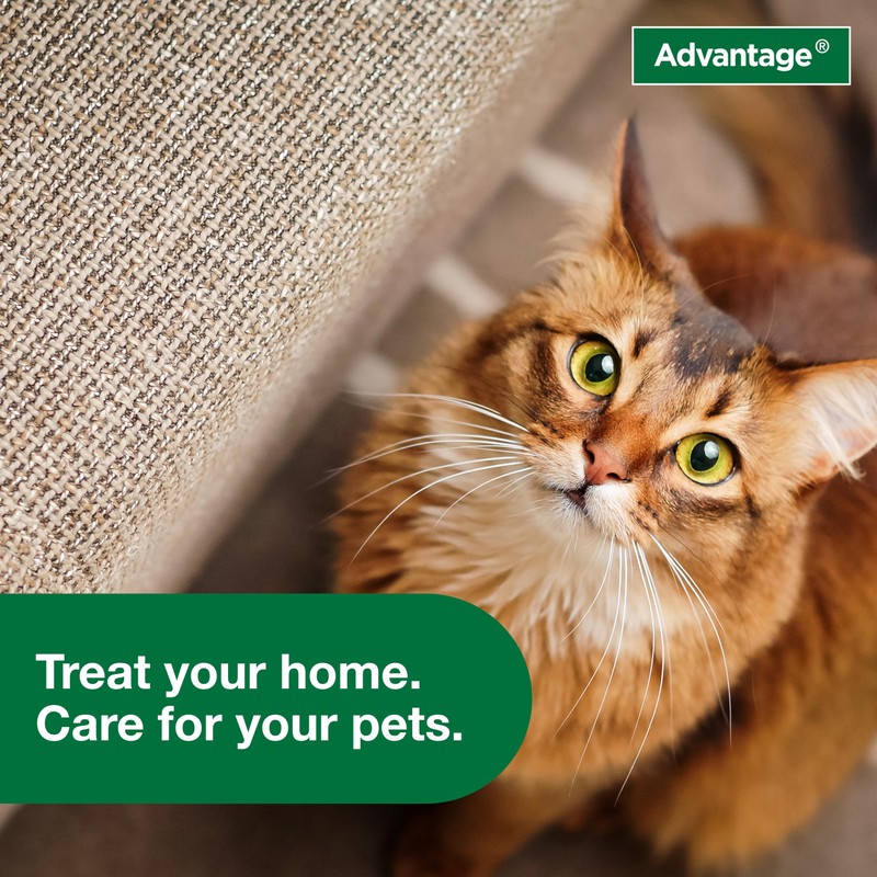 Advantage Carpet & Upholstery Spot Spray | Kills Fleas &