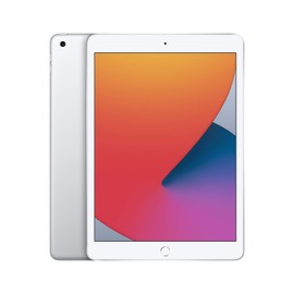 Apple Apple iPad (10.2-inch, Wi-Fi, 32GB) - Silver (Latest Model, 8th Generation) (Renewed)