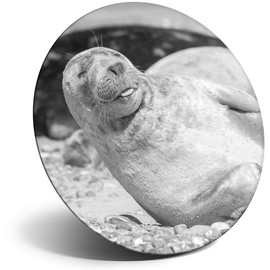 Destination Vinyl ltd Magnet for Refrigerator, Fridge BW - Cute Grey Seal Pup Sunbathing for Office, Cabinet and Whiteboard, Magnetic Stickers, 39444