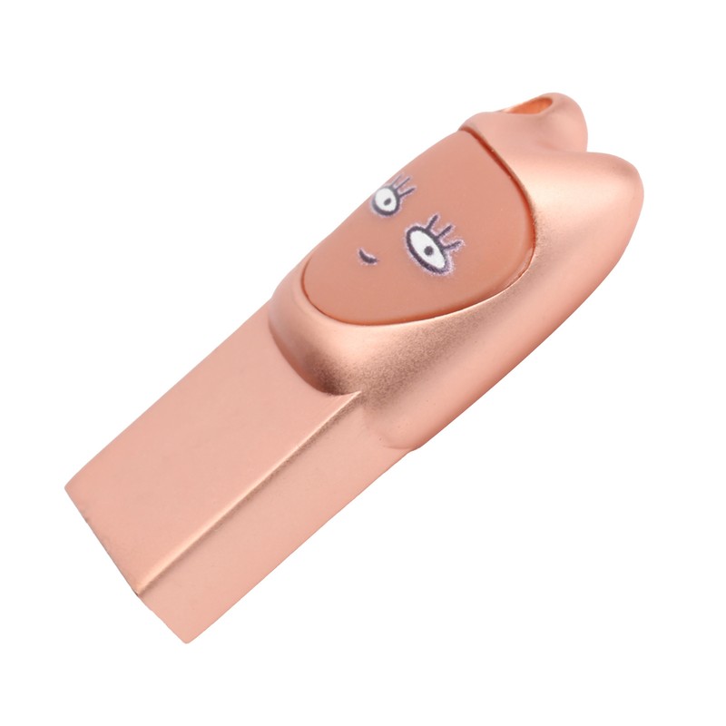 Flash Disk USB2.0 Interface Plugin Free Drive Cartoon U Disk