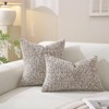 Pack of 2 Chenille Throw Pillow Covers 20x12 Inch, Soft