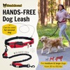 Hundefreund Hands Free Dog Leash for Medium and Large Dogs