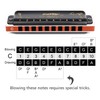 Easttop Harmonica Key of C 10 Hole 20 Tone Harmonica
