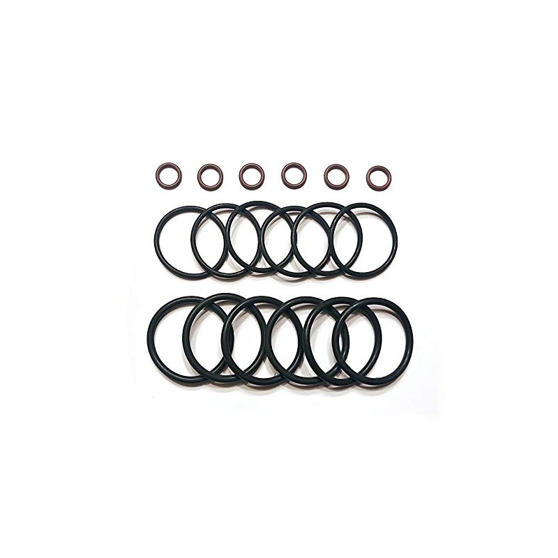 Nelson Seals External O-Ring Kit for Caterpillar C15/3406E Injectors -