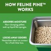 Feline Pine Platinum Non-Clumping Cat Litter, Feline Pine Cat Litter