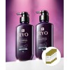 Ryeo Ryo Jayangyunmo 9EX Hair Loss Specialized Care Shampoo for Sensitive Scalps 400ml (2 Pack)