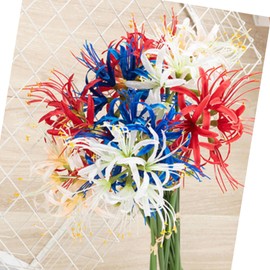 Generic 24.8” Artificial Agapanthus Faux Floral with Long Stem Faux African Lily Silk Flowers Fake Spring Flowers for Floral Arrangement Wedding Party Centerpiece Table Bouquet Home Decor 4 Pcs, Red