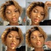 Fereowth Ombre Short Curly Lace Front Wigs Human Hair Wig