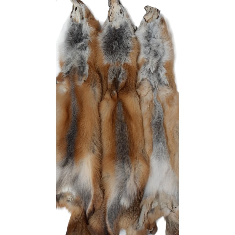 Dakotaline Furs Red Fox Pelt/Hide : (Imperfect Grade) : 42"-48"