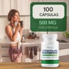 Citrato de Magnesio 100 Cápsulas | Suplemento Alimenticio | Ingredientes