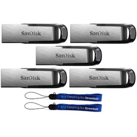 SanDisk 256GB Ultra Flair USB 3.0 Flash Drive (Bulk 5 Pack) High Speed Memory Pen Drive (SDCZ73-256G-G46) Bundle with (2) Everything But Stromboli Lanyard