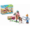 Playmobil Riding Lessons