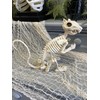 Crazy Bonez Skeleton Squirrel