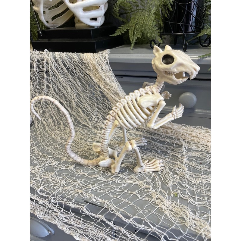 Crazy Bonez Skeleton Squirrel