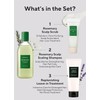 AROMATICA Rosemary Hair Care Holiday Gift Set – Shampoo for
