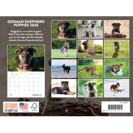 German Shepherd Puppy Calendar 2026 Monthly Wall Calender 12 Month | American Made In The USA