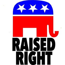 Raised Right Republican Vinyl Decal Bumper Wall Laptop Window Sticker 5"