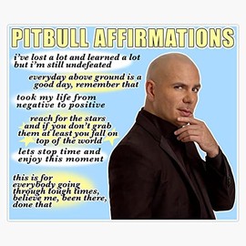 pitbull affirmations Bumper Sticker Vinyl Decal 5 inches