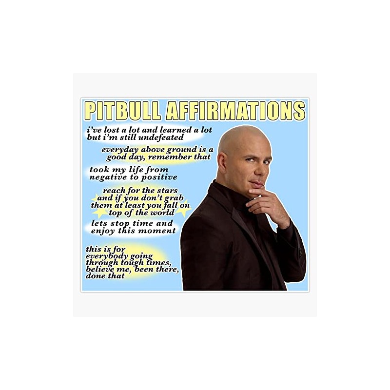 pitbull affirmations Bumper Sticker Vinyl Decal 5 inches