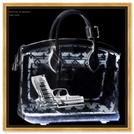 The Oliver Gal Artist Co. Fashion and Glam Framed Wall Art Canvas Prints 'Couture X Ray' Handbags Home Décor, 24" x 24", Black, White