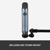 Blue Ember XLR Condenser Mic for Recording and Streaming, Custom