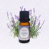 Savasana Aroma Lavender Essential Oil Base 30ml, Rose / 사바사나