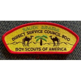 MINT CSP Direct Service Council Saudi Arabia S-1a