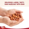 Tropgo Raw Hazelnuts - 500g - Packed Fresh Large Hazelnut