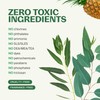 Fuwa3e Pineapple Enzyme Natural Toilet Bowl Cleaner Halcyon Eucalyptus -