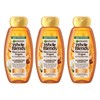 Garnier Whole Blends Moroccan Argan & Camellia Oils Illuminating Shampoo