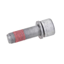 Original screw with disc brake caliper front 1315375080
