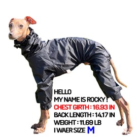 D Doggy Star Italian Greyhound Raincoat Waterproof Jacket Windbreaker Clothes Whippet for Dog (S,Raincoat Black)