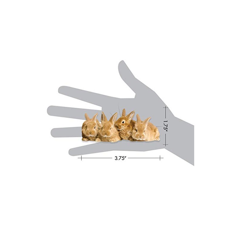 Paper House Productions 3.75" x 1.75" Die-Cut Sweet Bunnies Shaped