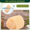 Esponja Luffa Natural Orgánica 100% Ecológica para Baño y Limpieza