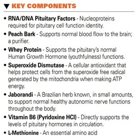 Systemic Formulas #32 Bio Function Gb Pituitary/Pineal 60 Capsules. Supports Mental Clarity and Focus and Normal circadian Rhythms.