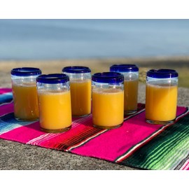 Hand Blown Mexican Drinking Glasses – Set of 6 Juice Glasses with Cobalt Blue Rims (8 oz each)