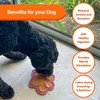 2 Pack Lick Mat for Dogs, DOOGUES Slow Feeder Mat