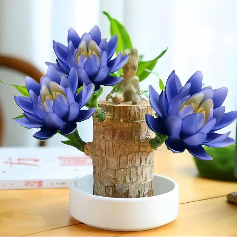 Spin Mop Head Replacement & Shower Floor Scrubber，Compatible with Ocedar