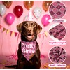 Raisingwell Birthday Dog Bandanas 2 Pack, 4 Pattern Reversible Blue