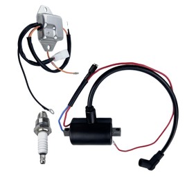 Ignition Coil Ignitor Spark Plug Compatible with EZGO Golf Cart Marathon 1981-1994 QINLANAP Replace# 23782-G1 - EPIGC102