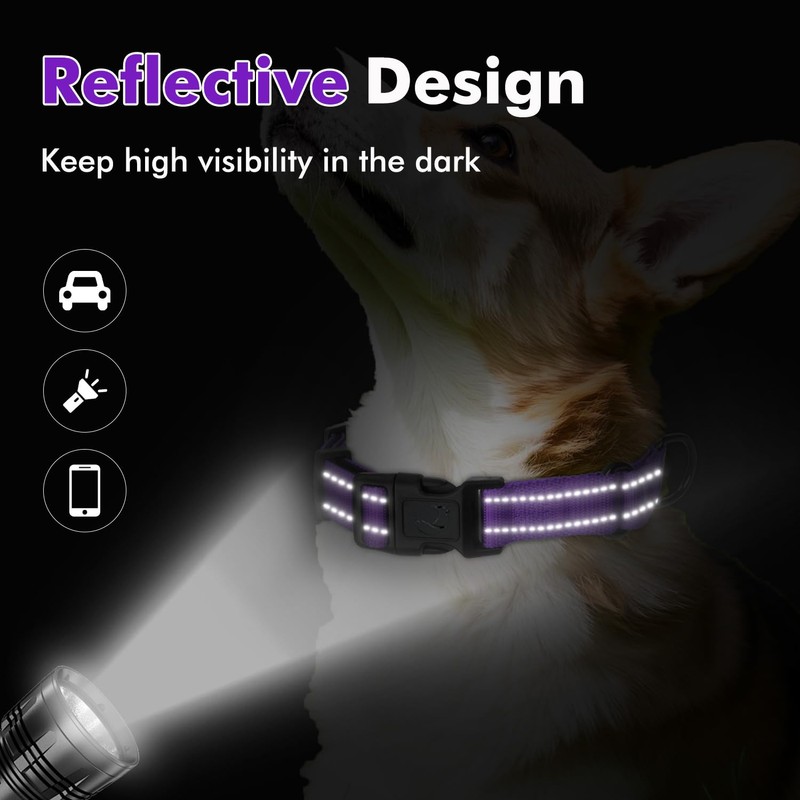 Erbine Martingale Collar for Dogs with Quick Release Buckle, Reflective