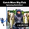 Lunkerhunt AUX Spinning Rod and Reel Combo | Fishing Rod