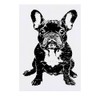 'French Bulldog Sitting' Temporary Tattoo - Water Resistant, Skin-Safe, Non-Toxic
