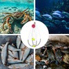 Trampa Plegable para Cangrejos de Acero Inoxidable y Pesca Marina
