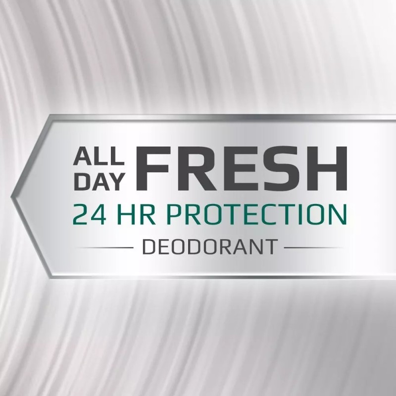 Speed Stick 24 Hr Protection Men's Deodorant Fresh All Skin