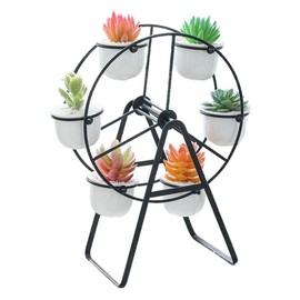 Youfui Ferris Wheel Plant Stand with 6 Planters Succulent Pots for Home Office Desk Decoration (Gold)