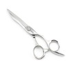 Hair Cutting Scissors Sharp to Cut Hair Cutting Shears Professional