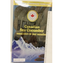 Arctic Dried Sea Cucumber (25)