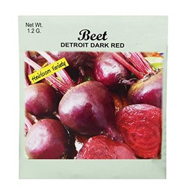 Set of 50 Beets Detroit Dark red Vegetable Seed Packs - 100% GMO Free - Heirloom - Black Duck Brand (50, Beet- Detroit Dark Red)