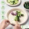 Ecovita 100% Compostable Forks - 500 Large Disposable Utensils (7